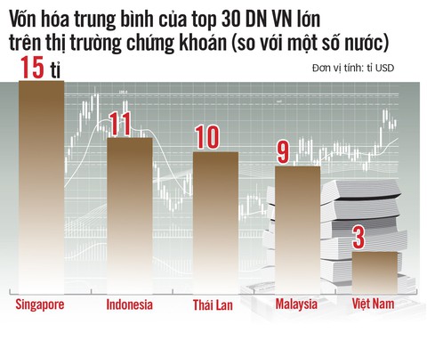 Sau Bia Sài Gòn, doanh nghiệp Việt sợ bị thâu tóm - Ảnh 3. Sau Bia Sài Gòn, doanh nghiệp Việt sợ bị thâu tóm - Ảnh 3.
