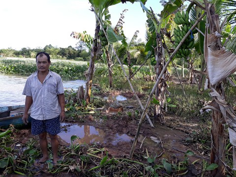 Có bờ kè trăm tỉ, sạt lở vẫn ăn đất của dân - Ảnh 1. Có bờ kè trăm tỉ, sạt lở vẫn ăn đất của dân - Ảnh 1.
