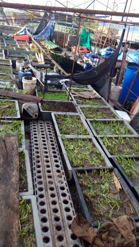 Bão quét Trường Sa, giàn pin mặt trời bị gió cuốn mất - Ảnh 11. Bão quét Trường Sa, giàn pin mặt trời bị gió cuốn mất - Ảnh 11.