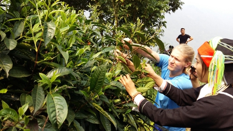Làm tình nguyện viên quốc tế, trải nghiệm văn hóa muôn nơi - Ảnh 1. Làm tình nguyện viên quốc tế, trải nghiệm văn hóa muôn nơi - Ảnh 1.