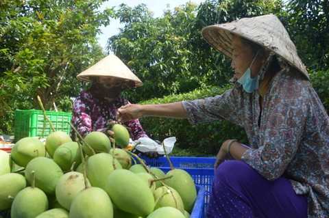 Bí thư Lê Minh Hoan: Nói chuyện mà doanh nghiệp như muốn khóc - Ảnh 6. Bí thư Lê Minh Hoan: Nói chuyện mà doanh nghiệp như muốn khóc - Ảnh 6.
