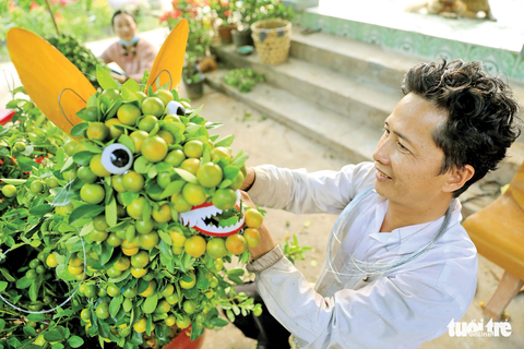Chú chó tắc kiểng Chợ Lách chào Xuân Mậu Tuất - Ảnh 8. Chú chó tắc kiểng Chợ Lách chào Xuân Mậu Tuất - Ảnh 8.