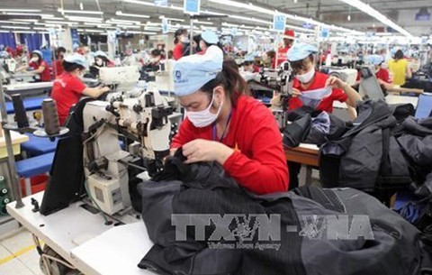 Nâng tuổi nghỉ hưu, cần nghiên cứu cụ thể - Ảnh 1. Nâng tuổi nghỉ hưu, cần nghiên cứu cụ thể - Ảnh 1.