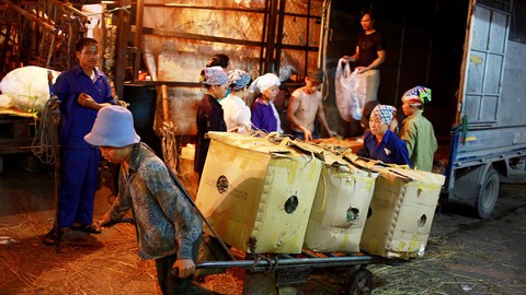 Nhức nhối nạn làm tiền ở chợ Long Biên - Ảnh 1. Nhức nhối nạn làm tiền ở chợ Long Biên - Ảnh 1.