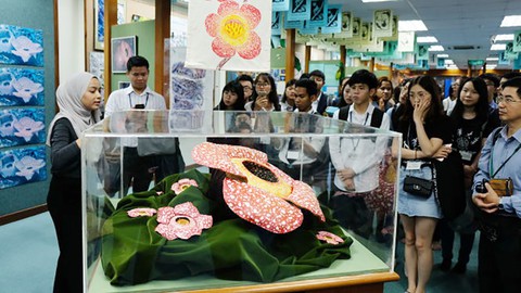 Diễn đàn Sinh viên châu Á với môi trường - ASEP 2018: Hiểu về rừng để cùng bảo vệ - Ảnh 1. Diễn đàn Sinh viên châu Á với môi trường - ASEP 2018: Hiểu về rừng để cùng bảo vệ - Ảnh 1.