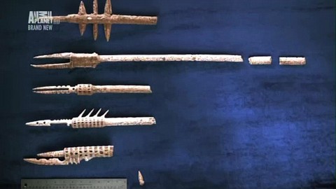 Khoa học nói gì về người cá? - Ảnh 6. Khoa học nói gì về người cá? - Ảnh 6.