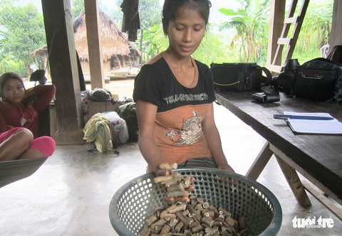 Bản Đoòng giữa rừng Phong Nha - Ảnh 2. Bản Đoòng giữa rừng Phong Nha - Ảnh 2.