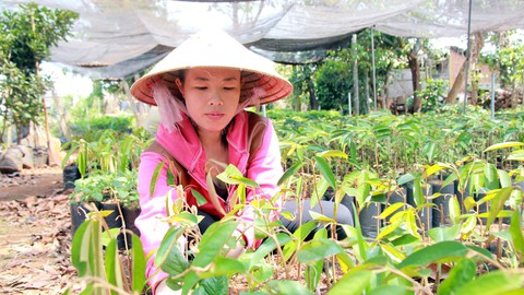 Thấp thỏm ‘phận’ giáo viên hợp đồng - Ảnh 12. Thấp thỏm ‘phận’ giáo viên hợp đồng - Ảnh 12.