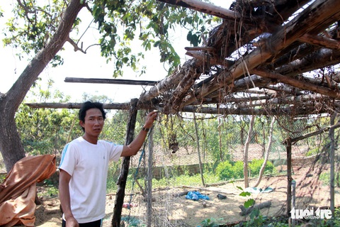 Huyện Krông Pắk hứa tìm việc cho hơn 500 giáo viên bị cắt hợp đồng - Ảnh 5. Huyện Krông Pắk hứa tìm việc cho hơn 500 giáo viên bị cắt hợp đồng - Ảnh 5.