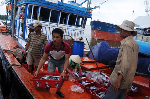 Một tàu cá Quảng Nam bị đâm vỡ ở Hoàng Sa - Ảnh 11. Một tàu cá Quảng Nam bị đâm vỡ ở Hoàng Sa - Ảnh 11.