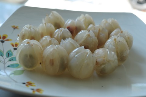Về Tiên Phước ăn trái bòn bon - Ảnh 17. Về Tiên Phước ăn trái bòn bon - Ảnh 17.