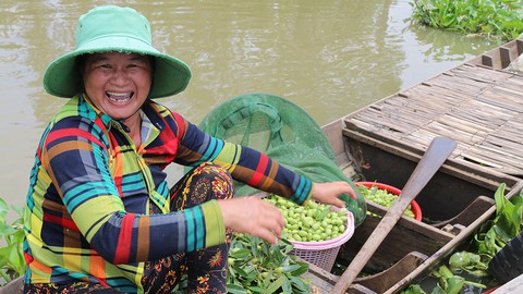 Sắp cuối lũ 2018, giá cả đặc sản lũ miền Tây càng chộn rộn - Ảnh 4. Sắp cuối lũ 2018, giá cả đặc sản lũ miền Tây càng chộn rộn - Ảnh 4.