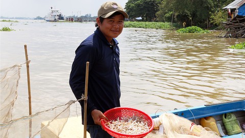 Sắp cuối lũ 2018, giá cả đặc sản lũ miền Tây càng chộn rộn - Ảnh 1. Sắp cuối lũ 2018, giá cả đặc sản lũ miền Tây càng chộn rộn - Ảnh 1.