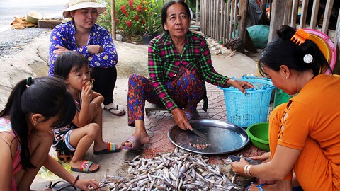 Sắp cuối lũ 2018, giá cả đặc sản lũ miền Tây càng chộn rộn - Ảnh 6. Sắp cuối lũ 2018, giá cả đặc sản lũ miền Tây càng chộn rộn - Ảnh 6.