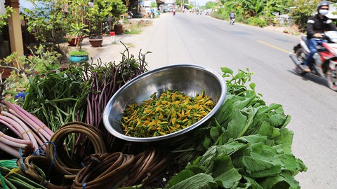 Sắp cuối lũ 2018, giá cả đặc sản lũ miền Tây càng chộn rộn - Ảnh 13. Sắp cuối lũ 2018, giá cả đặc sản lũ miền Tây càng chộn rộn - Ảnh 13.
