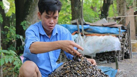 Sắp cuối lũ 2018, giá cả đặc sản lũ miền Tây càng chộn rộn - Ảnh 9. Sắp cuối lũ 2018, giá cả đặc sản lũ miền Tây càng chộn rộn - Ảnh 9.