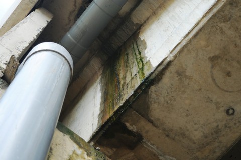 Tiếp tục sửa chữa cầu, hầm chui cao tốc bị thấm nước - Ảnh 6. Tiếp tục sửa chữa cầu, hầm chui cao tốc bị thấm nước - Ảnh 6.