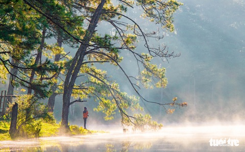 Đà Lạt mơ màng trong mùa nắng lạnh đẹp nhất năm - Ảnh 2. Đà Lạt mơ màng trong mùa nắng lạnh đẹp nhất năm - Ảnh 2.