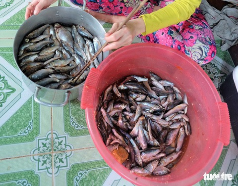 Về miền Tây mùa nước lũ: Sản vật Đồng Tháp Mười - Ảnh 1. Về miền Tây mùa nước lũ: Sản vật Đồng Tháp Mười - Ảnh 1.