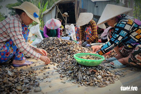Về miền Tây mùa nước lũ: Sản vật Đồng Tháp Mười - Ảnh 2. Về miền Tây mùa nước lũ: Sản vật Đồng Tháp Mười - Ảnh 2.