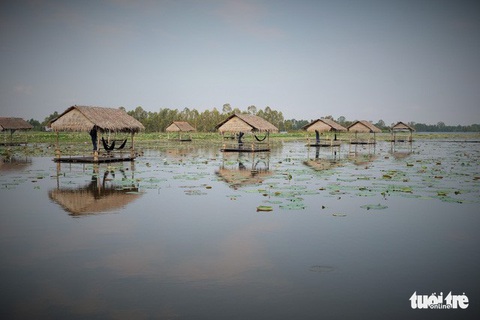 Về miền Tây mùa nước lũ: Sản vật Đồng Tháp Mười - Ảnh 4. Về miền Tây mùa nước lũ: Sản vật Đồng Tháp Mười - Ảnh 4.