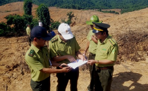Rừng tự nhiên bị ủi chỉ là khoảnh nhỏ? - Ảnh 1. Rừng tự nhiên bị ủi chỉ là khoảnh nhỏ? - Ảnh 1.