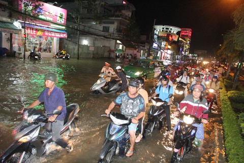 ĐBSCL chuẩn bị đối phó đợt triều cường mới - Ảnh 1. ĐBSCL chuẩn bị đối phó đợt triều cường mới - Ảnh 1.