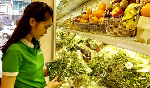 Phát hiện mới về rau má - Ảnh 1. Phát hiện mới về rau má - Ảnh 1.