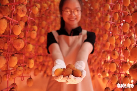 Hồng treo gió ứa mật kiểu Nhật cứu cả ngành hồng Đà Lạt - Ảnh 10. Hồng treo gió ứa mật kiểu Nhật cứu cả ngành hồng Đà Lạt - Ảnh 10.