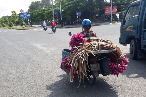 Nước lũ Miền Tây rút đi, sản vật để lại - Ảnh 8. Nước lũ Miền Tây rút đi, sản vật để lại - Ảnh 8.