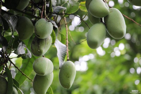 Quà tặng - triết lý nhân sinh từ những câu chuyện lịch sử - Ảnh 3. Quà tặng - triết lý nhân sinh từ những câu chuyện lịch sử - Ảnh 3.