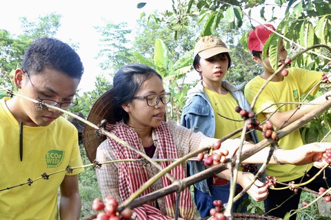 Sinh viên lên rẫy học làm kinh tế xanh - Ảnh 1. Sinh viên lên rẫy học làm kinh tế xanh - Ảnh 1.