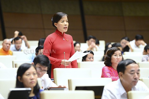 Hôm nay Quốc hội bắt đầu 3 ngày chất vấn - Ảnh 1. Hôm nay Quốc hội bắt đầu 3 ngày chất vấn - Ảnh 1.