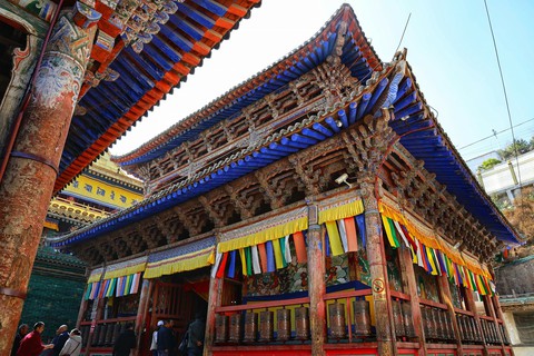 Ngô Trần Hải An và hành trình mùa thu trên Con đường tơ lụa - Ảnh 17. Ngô Trần Hải An và hành trình mùa thu trên Con đường tơ lụa - Ảnh 17.