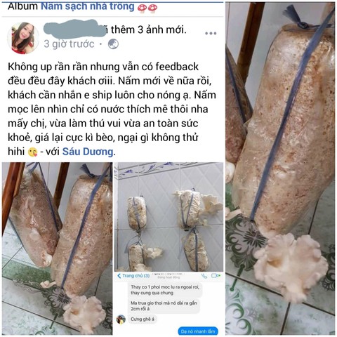 Mẹ bỉm sữa kiếm thêm thu nhập từ bán hàng online - Ảnh 2. Mẹ bỉm sữa kiếm thêm thu nhập từ bán hàng online - Ảnh 2.