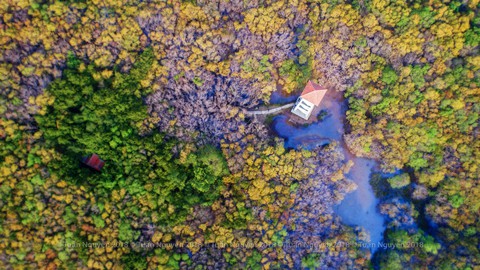 Rừng thu Rú Chá qua góc ảnh flycam - Ảnh 4. Rừng thu Rú Chá qua góc ảnh flycam - Ảnh 4.