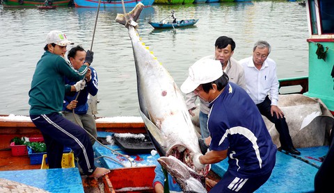 Thủy sản thiệt hại lớn từ thẻ vàng EC - Ảnh 1. Thủy sản thiệt hại lớn từ thẻ vàng EC - Ảnh 1.