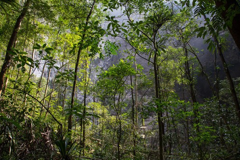 Thế giới kỳ bí trong hệ thống hang động Phong Nha - Kẻ Bàng - Ảnh 15. Thế giới kỳ bí trong hệ thống hang động Phong Nha - Kẻ Bàng - Ảnh 15.