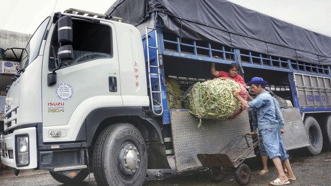 Ứng phó khi giá xăng dầu tăng - Ảnh 2. Ứng phó khi giá xăng dầu tăng - Ảnh 2.