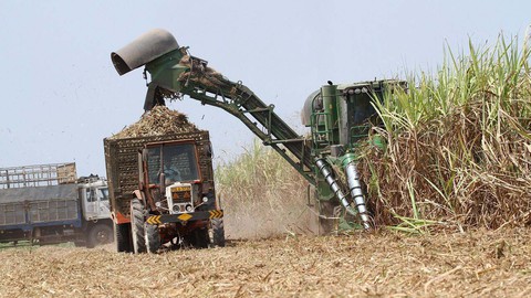 Doanh nghiệp Việt chuyển mình: Chuyển mình để phát triển - Ảnh 1. Doanh nghiệp Việt chuyển mình: Chuyển mình để phát triển - Ảnh 1.
