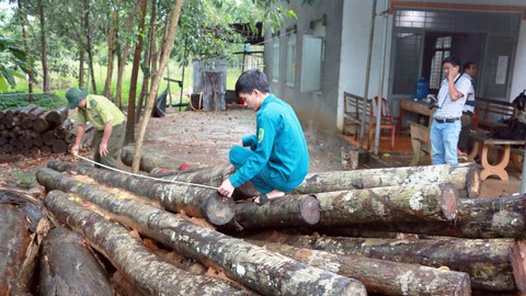 70 ngày thanh tra trách nhiệm chủ tịch tỉnh Bình Phước - Ảnh 1. 70 ngày thanh tra trách nhiệm chủ tịch tỉnh Bình Phước - Ảnh 1.