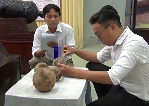Đào giếng, phát hiện 4 quả đạn thần công - Ảnh 2. Đào giếng, phát hiện 4 quả đạn thần công - Ảnh 2.
