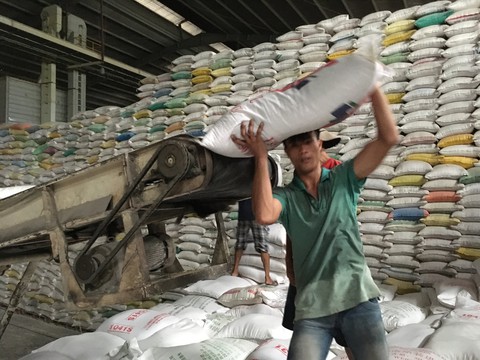 Doanh nghiệp được tự do xuất khẩu gạo hữu cơ - Ảnh 1. Doanh nghiệp được tự do xuất khẩu gạo hữu cơ - Ảnh 1.