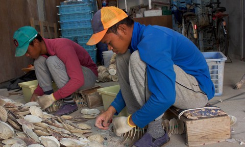 Nhật tiếp nhận lao động nước ngoài đến mức nào? - Ảnh 3. Nhật tiếp nhận lao động nước ngoài đến mức nào? - Ảnh 3.