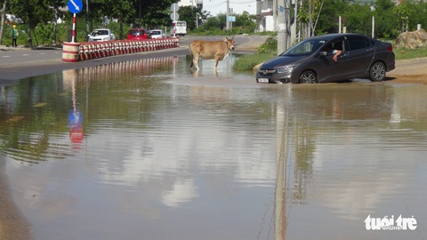 Đường ven biển Nha Trang mới sửa 3 tháng đã... nát - Ảnh 5. Đường ven biển Nha Trang mới sửa 3 tháng đã... nát - Ảnh 5.