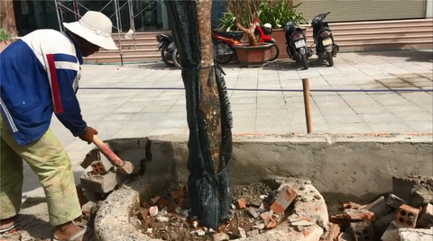Phá dỡ bồn hoa xây trái phép tại Mường Thanh Khánh Hòa - Ảnh 3. Phá dỡ bồn hoa xây trái phép tại Mường Thanh Khánh Hòa - Ảnh 3.