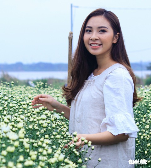 Cúc họa mi xốn xang đầu đông Hà Nội - Ảnh 4. Cúc họa mi xốn xang đầu đông Hà Nội - Ảnh 4.