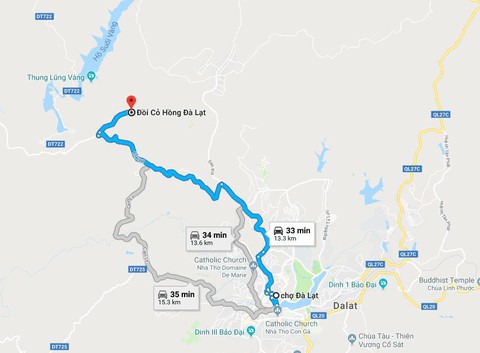 Ngắm đồi cỏ hồng Đà Lạt đẹp như cổ tích - Ảnh 10. Ngắm đồi cỏ hồng Đà Lạt đẹp như cổ tích - Ảnh 10.