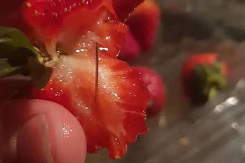 Lại thấy kim trong trái lê của Úc - Ảnh 4. Lại thấy kim trong trái lê của Úc - Ảnh 4.