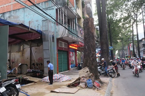 Tái diễn tình trạng bức tử cây xanh tại TP.HCM - Ảnh 5. Tái diễn tình trạng bức tử cây xanh tại TP.HCM - Ảnh 5.